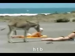 مرد سیاه آلیس را عکس های سکسی کون کس در الاغ قرار می دهد