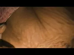 با سبزه یک شب خوب عكس كس و كون داشته باشید