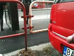 دو عکس کوس کون ناز بیدمشک ژاپنی گربه